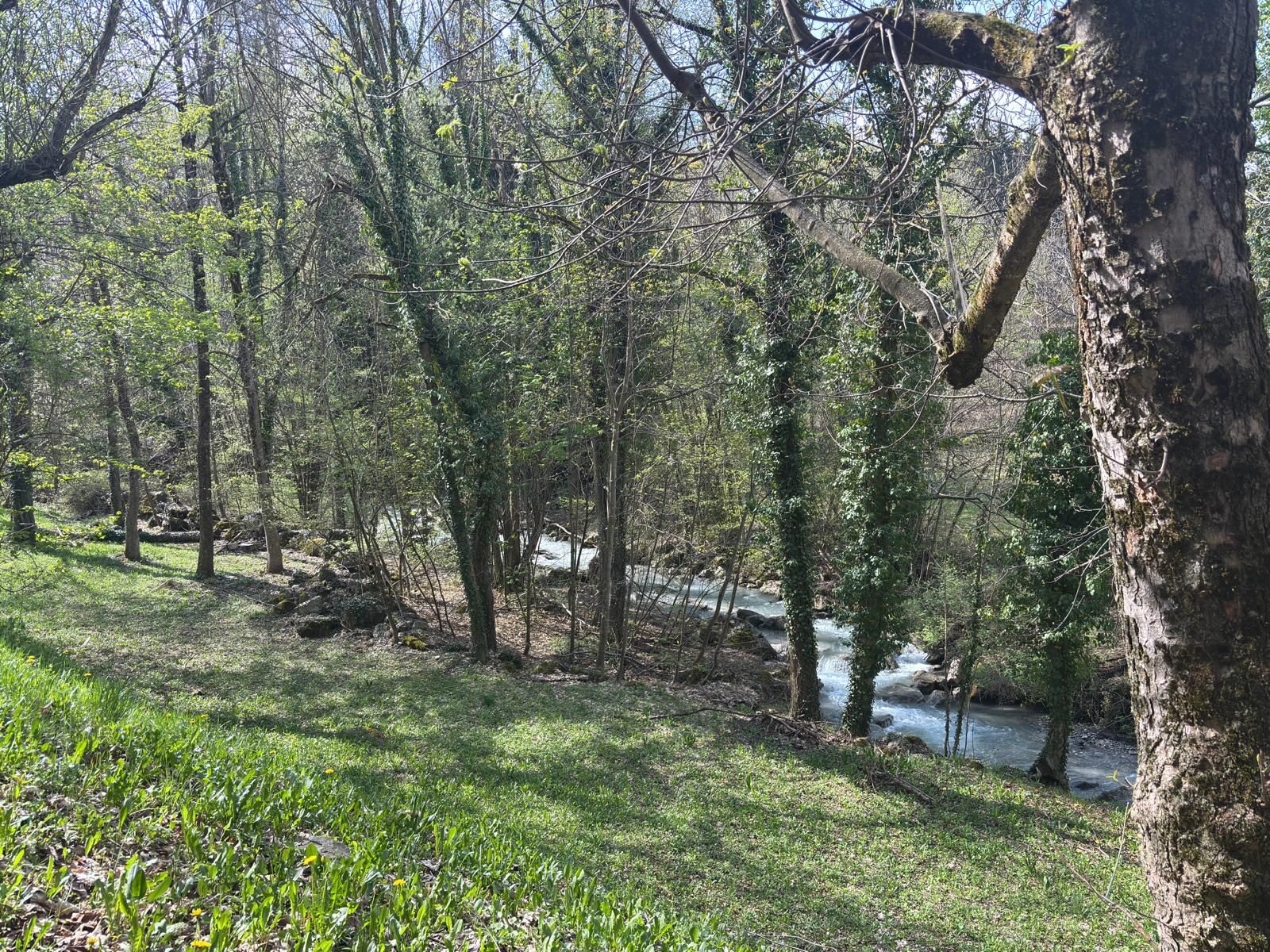 Parco con il fiume