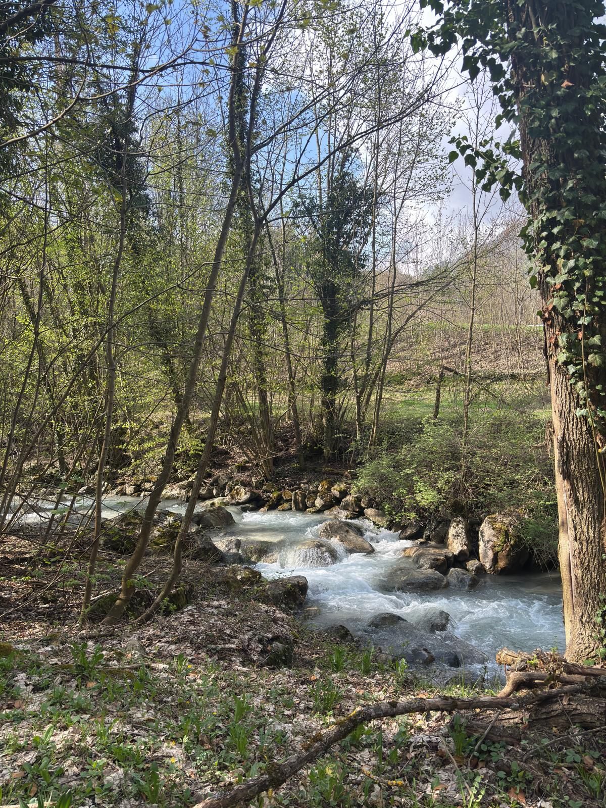 Parco con torrente