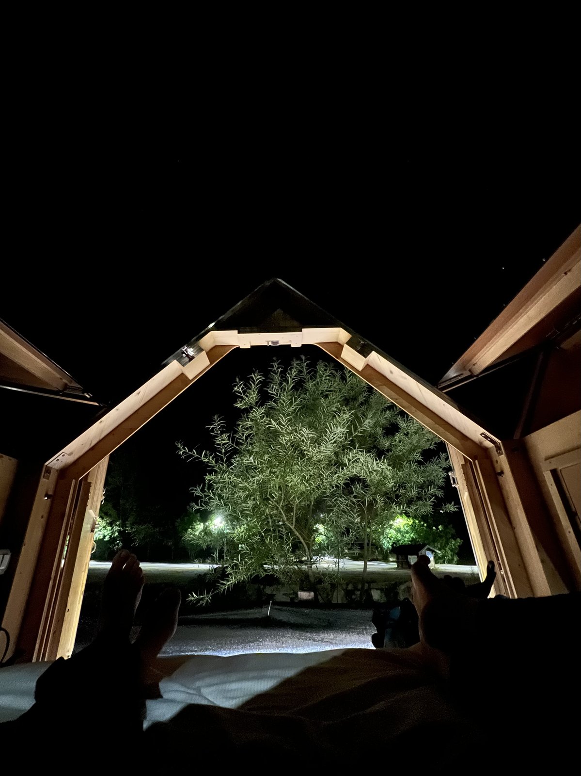 Starbox aperta di notte con vista albero